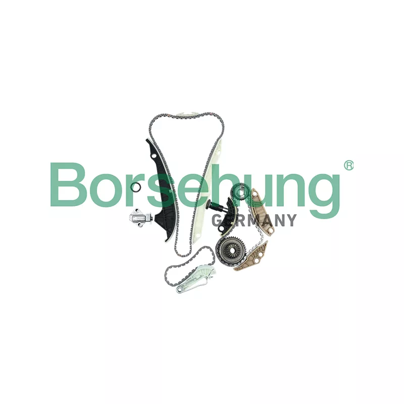 Kit de distribution par chaîne Borsehung B19209