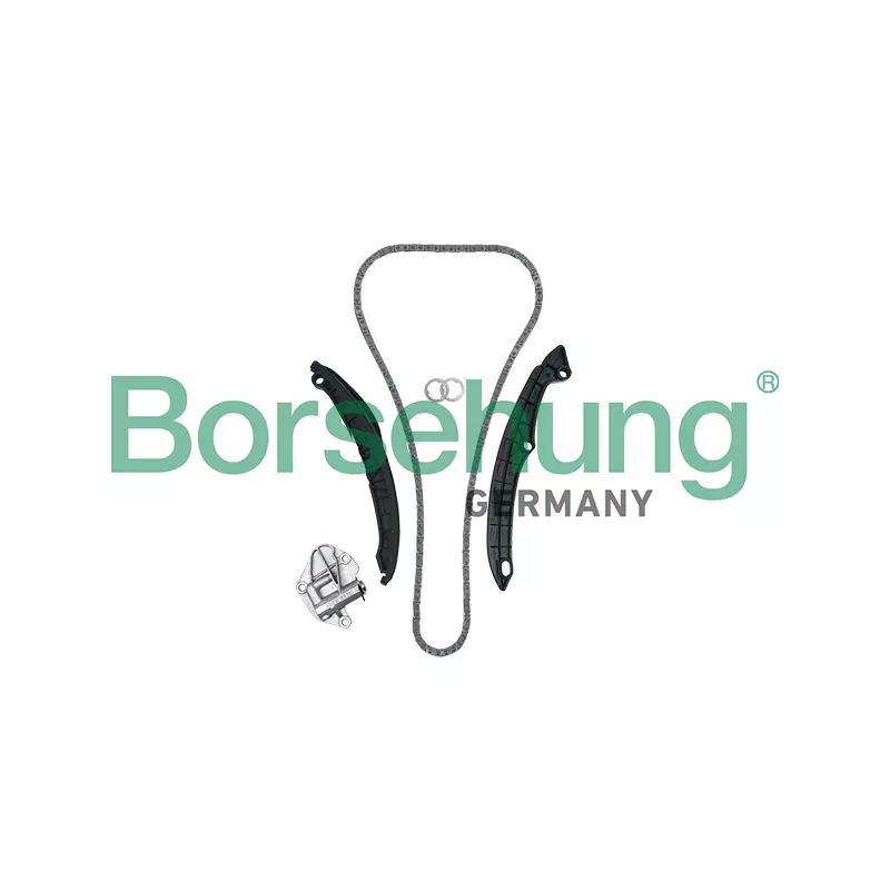 Kit de distribution par chaîne Borsehung B19229