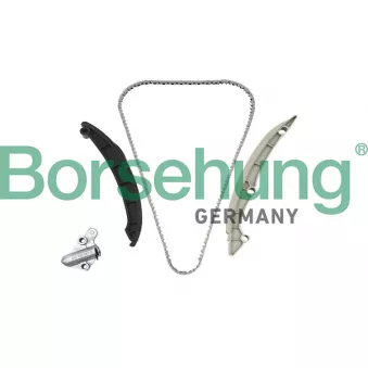 Kit de distribution par chaîne Borsehung B19257