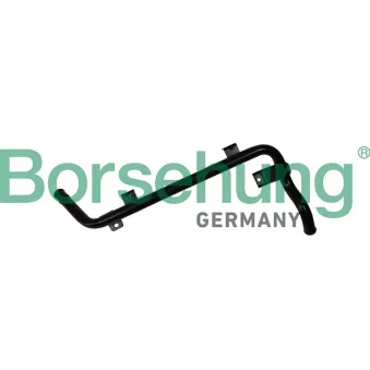 Tuyau, ventilation de carter-moteur Borsehung B19266