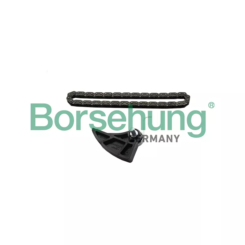 Kit de distribution par chaîne Borsehung B19287