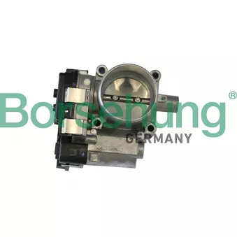 Corps papillon Borsehung B19289