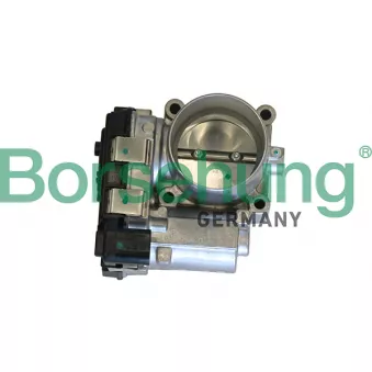 Corps papillon Borsehung B19290