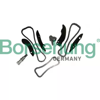 Kit de distribution par chaîne Borsehung B19295