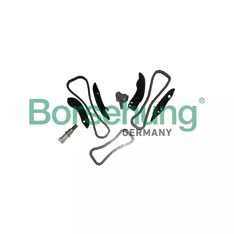 Kit de distribution par chaîne Borsehung B19295