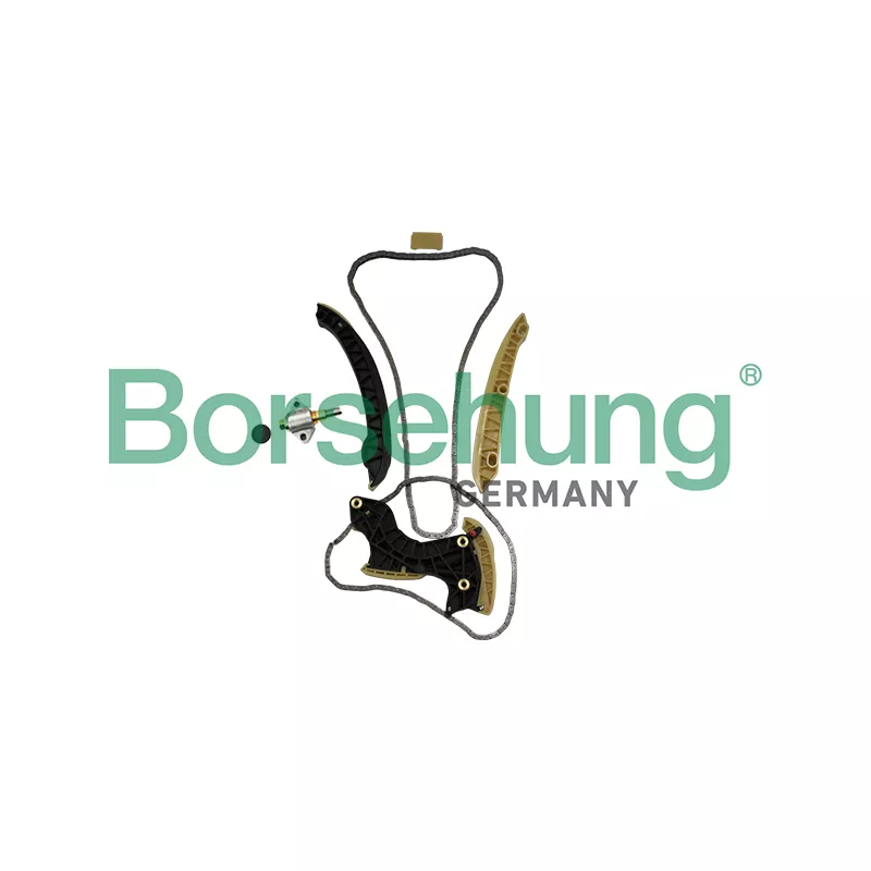 Kit de distribution par chaîne Borsehung B19296
