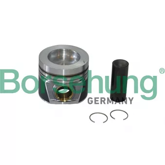 Jeu de segments de pistons Borsehung B19299