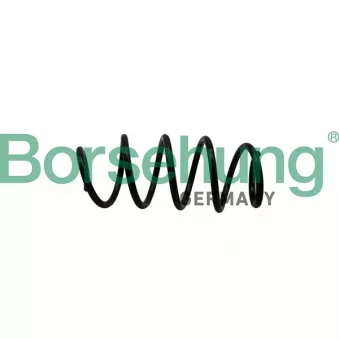 Ressort de suspension Borsehung