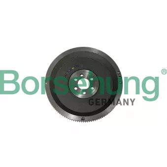 Volant moteur Borsehung B19306