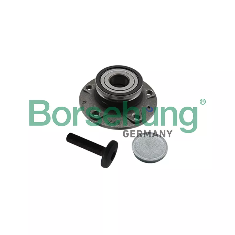 Roulement de roue arrière Borsehung B19310