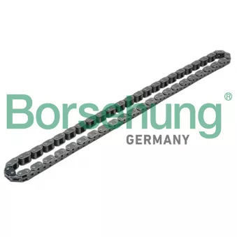 Chaîne de distribution Borsehung B1C002