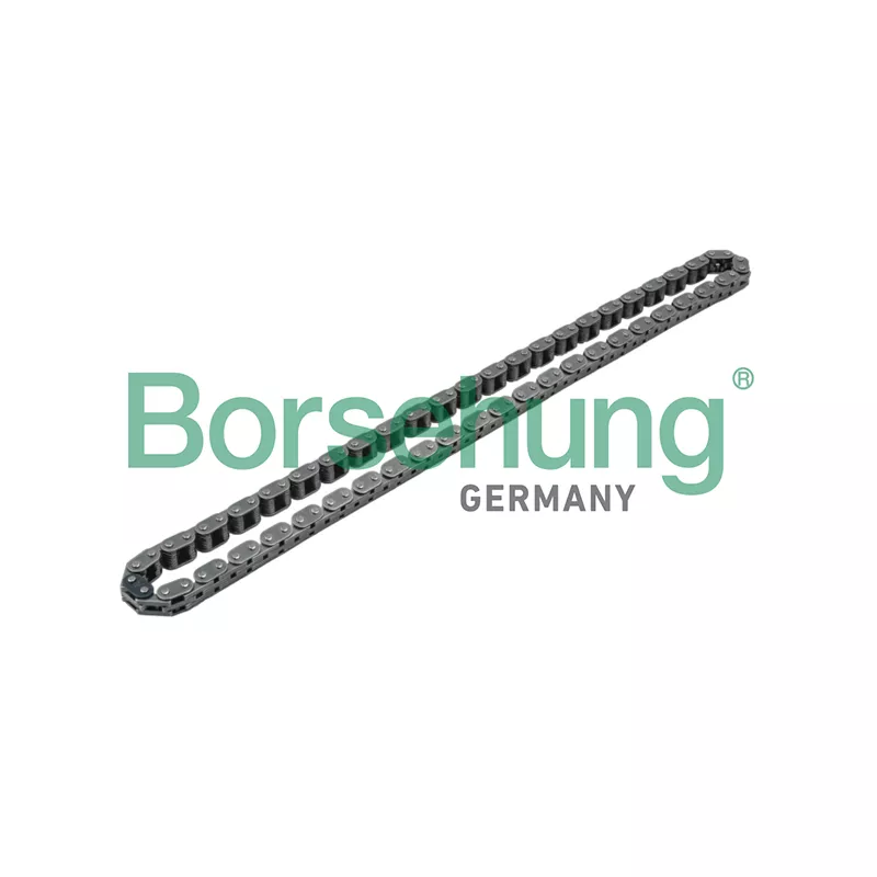 Chaîne de distribution Borsehung B1C002