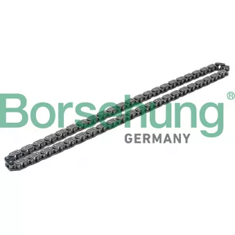 Chaîne de distribution Borsehung B1C009