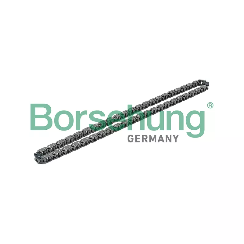 Chaîne de distribution Borsehung B1C009