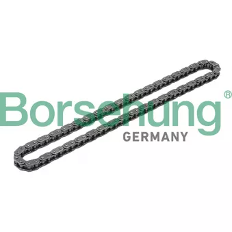 Chaîne de distribution Borsehung B1C012