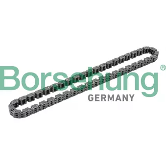 Chaîne de distribution Borsehung B1C015