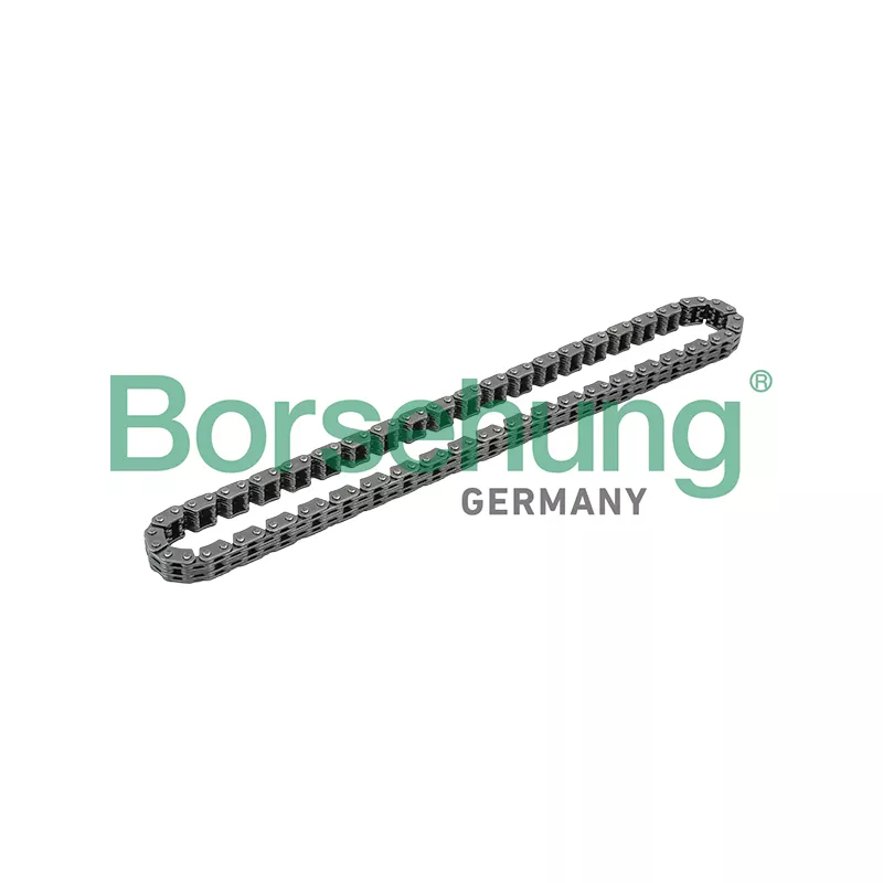 Chaîne de distribution Borsehung B1C015