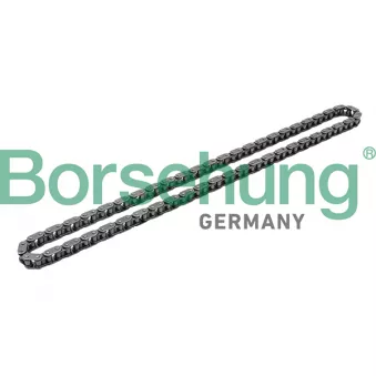 Chaîne de distribution Borsehung B1C017
