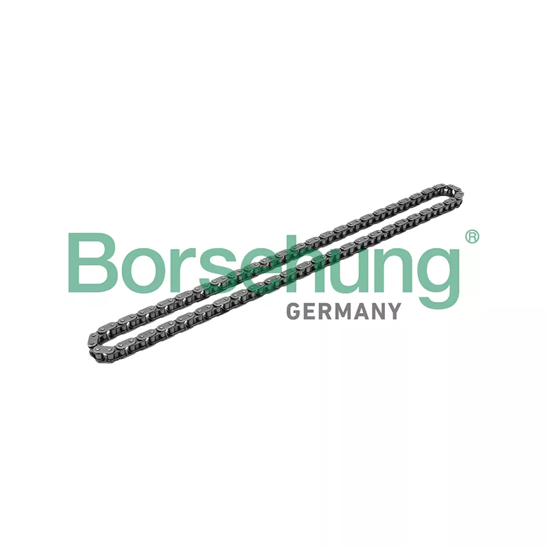 Chaîne de distribution Borsehung B1C017