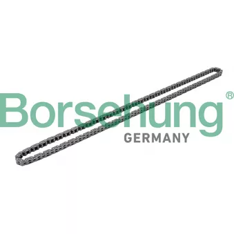 Chaîne de distribution Borsehung B1C019