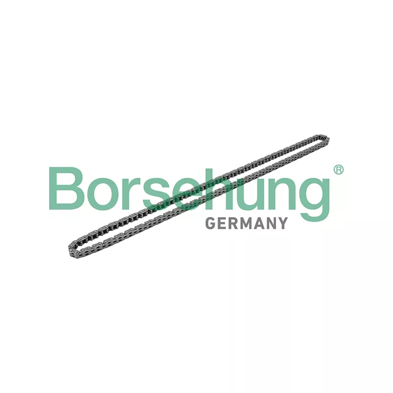 Chaîne de distribution Borsehung B1C019