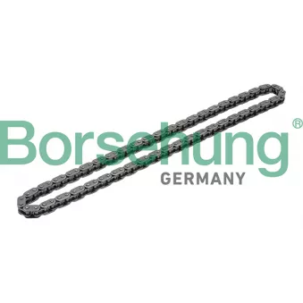 Chaîne de distribution Borsehung B1C020