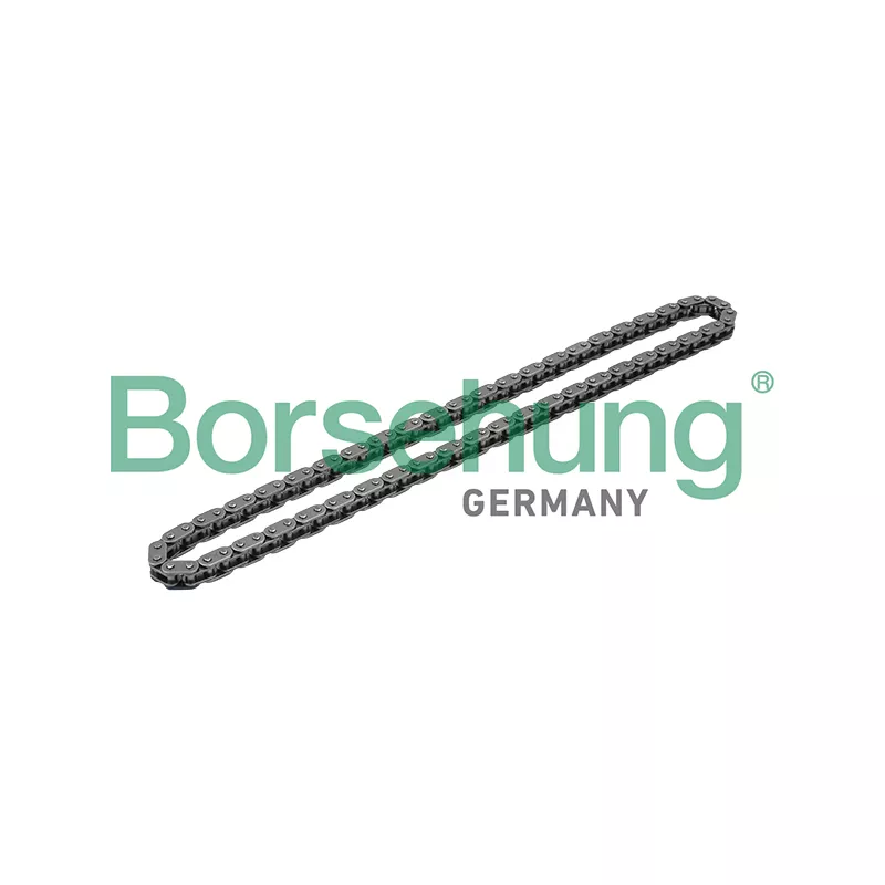 Chaîne de distribution Borsehung B1C020