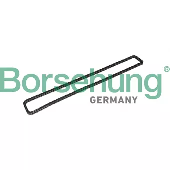 Chaîne de distribution Borsehung B1C023