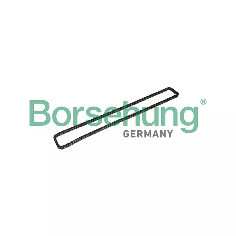 Chaîne de distribution Borsehung B1C023