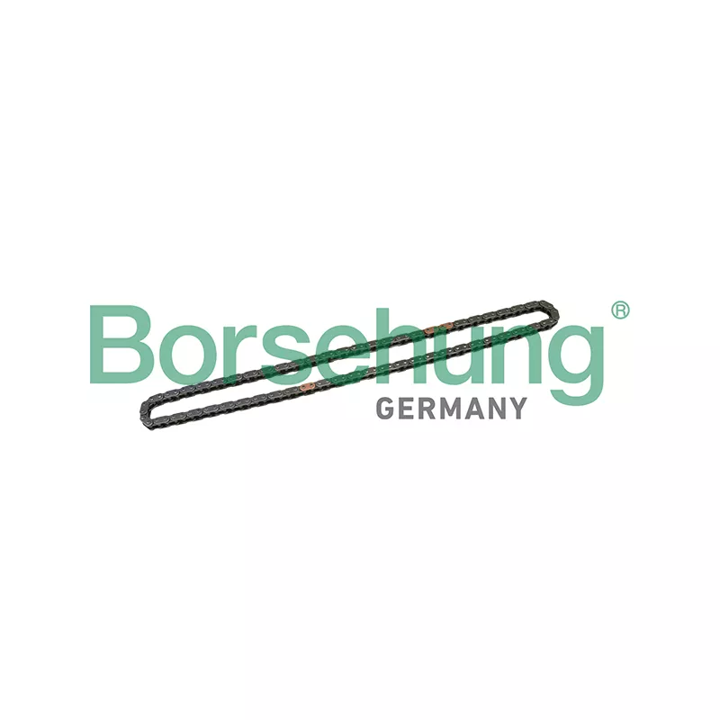 Chaîne de distribution Borsehung B1C025