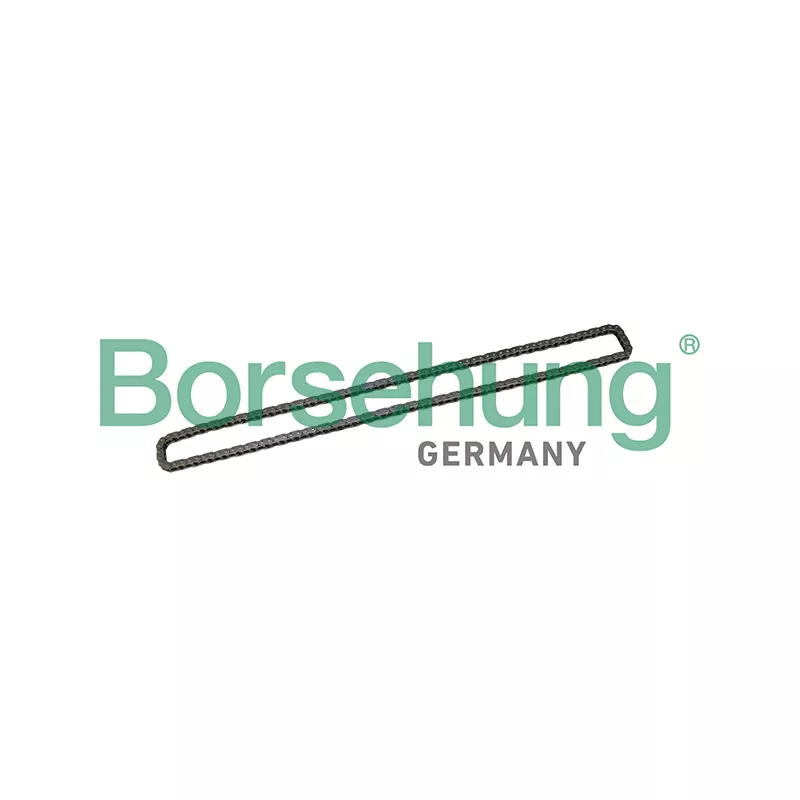Chaîne de distribution Borsehung B1C026