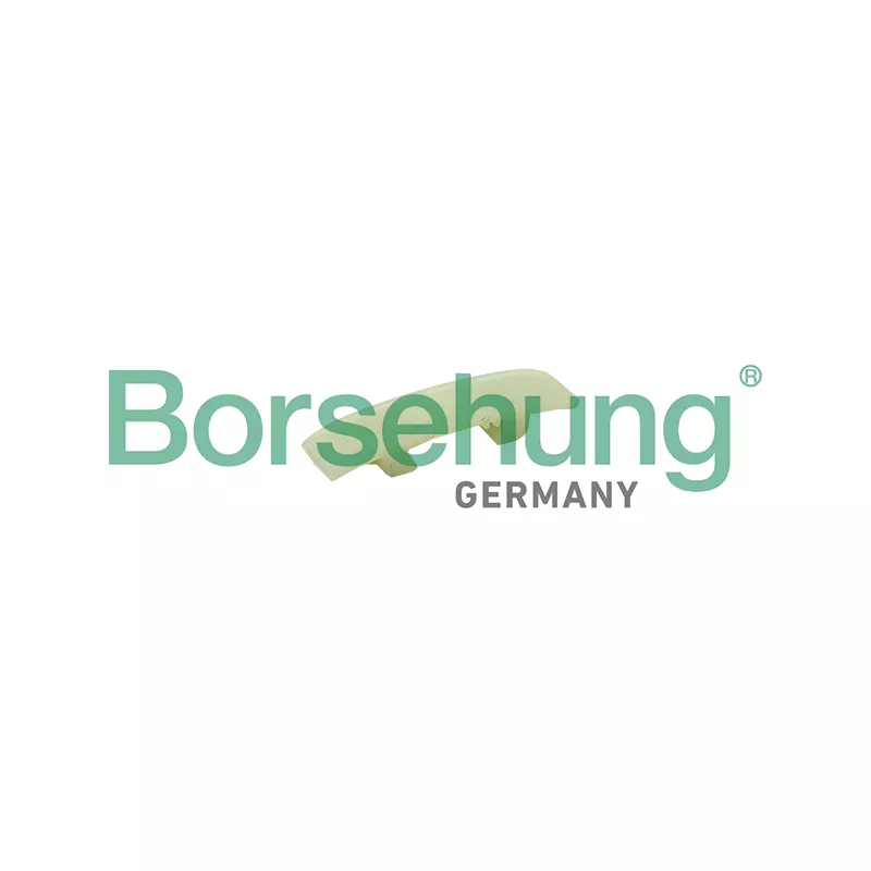 Coulisse, chaîne de distribution Borsehung B1G012