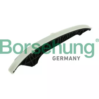 Coulisse, chaîne de distribution Borsehung B1G013