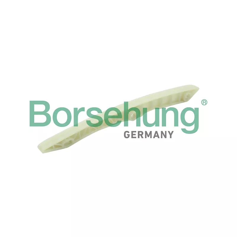 Coulisse, chaîne de distribution Borsehung B1G015