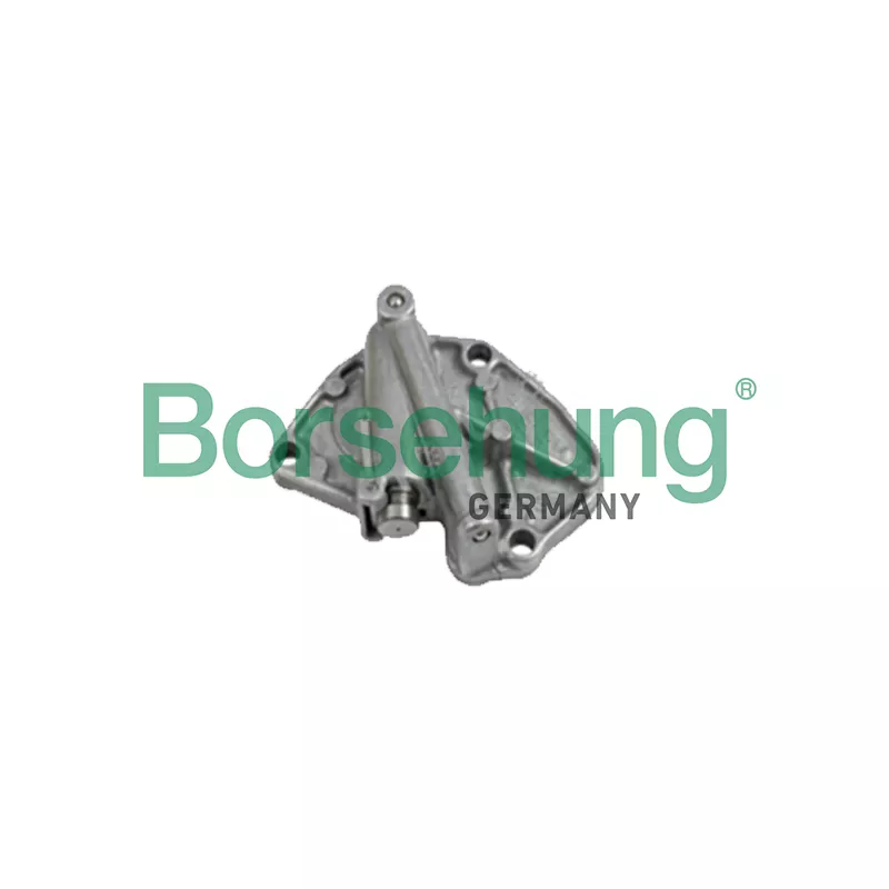 Tendeur, chaîne de distribution Borsehung B1T001