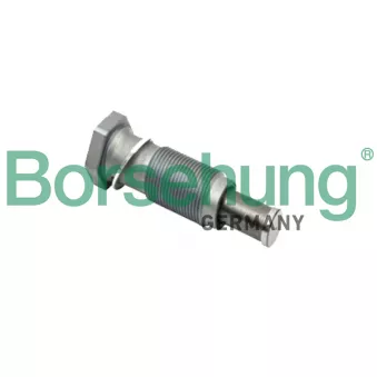 Tendeur, chaîne de distribution Borsehung B1T002