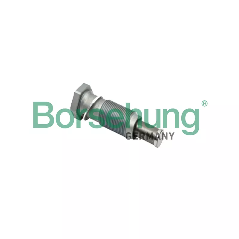 Tendeur, chaîne de distribution Borsehung B1T002