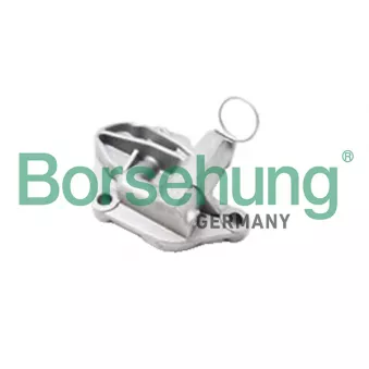 Tendeur, chaîne de distribution Borsehung B1T003