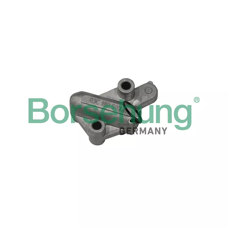 Tendeur, chaîne de distribution Borsehung B1T004