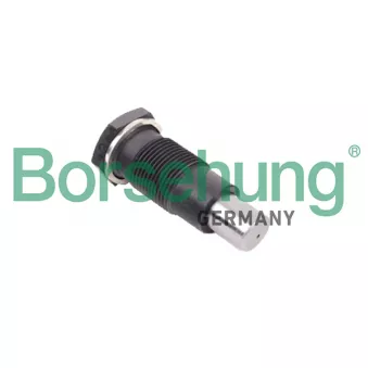 Tendeur, chaîne de distribution Borsehung B1T005