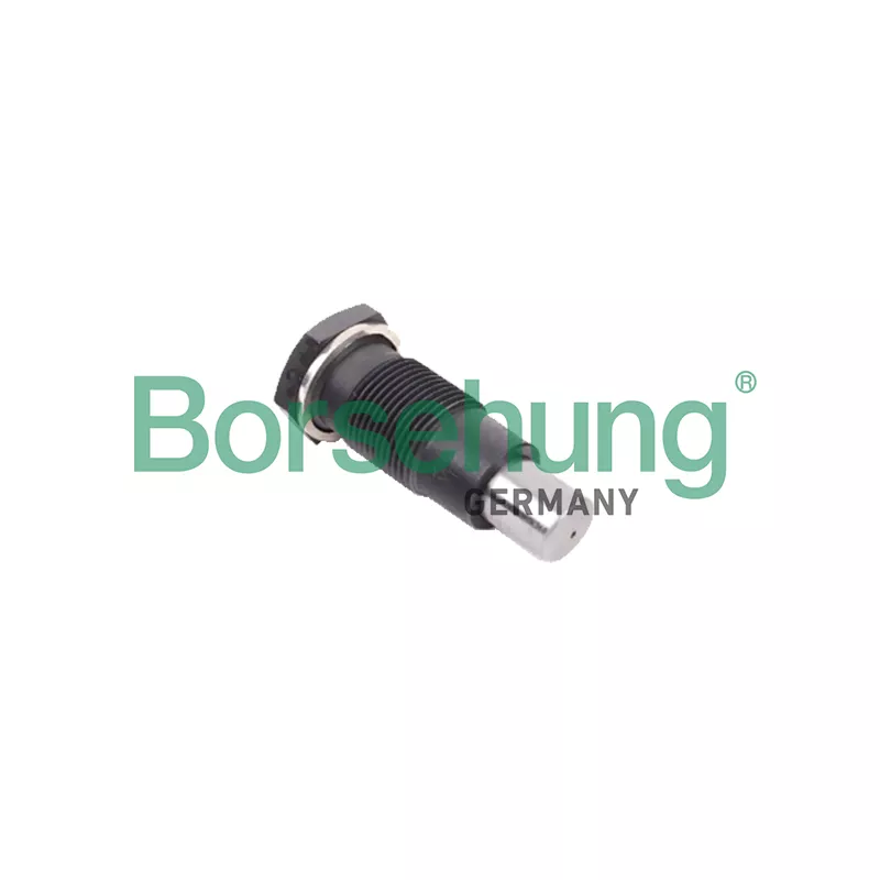 Tendeur, chaîne de distribution Borsehung B1T005