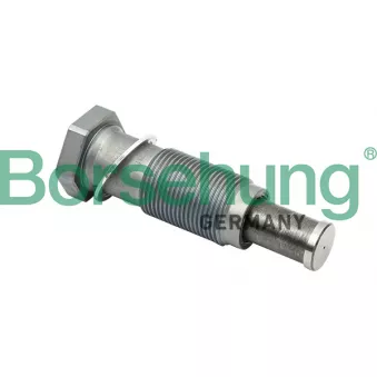 Tendeur, chaîne de distribution Borsehung B1T012