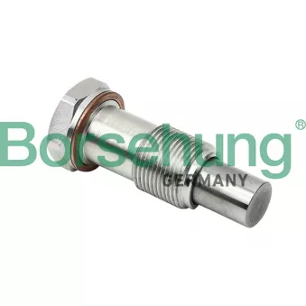 Tendeur, chaîne de distribution Borsehung B1T014