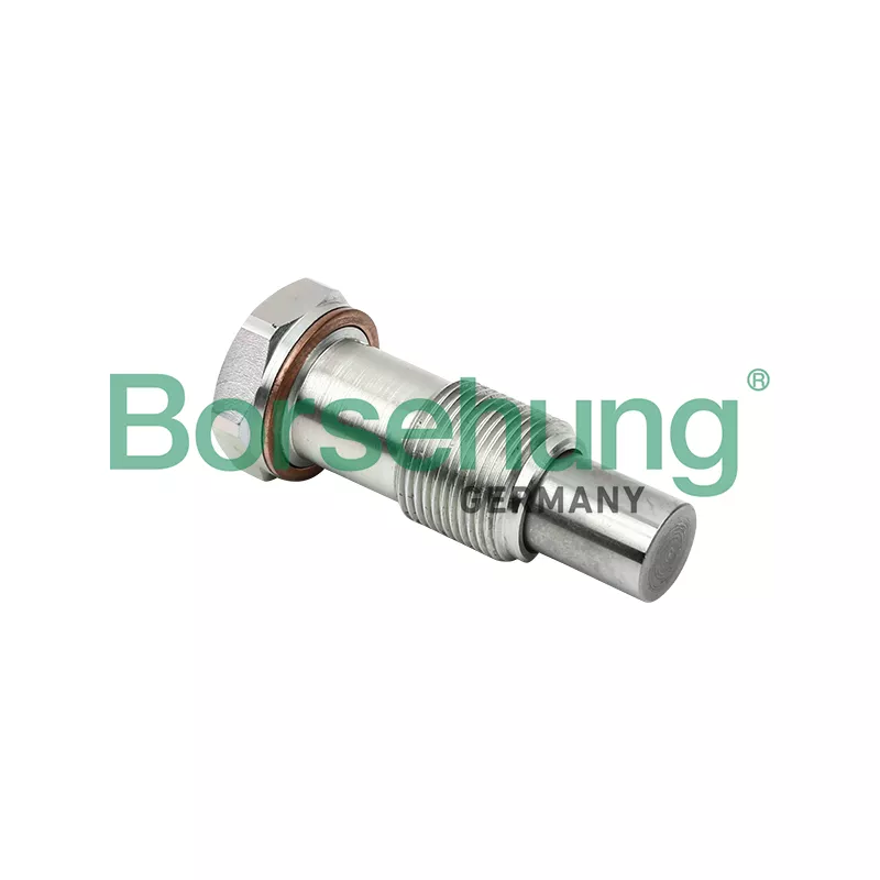 Tendeur, chaîne de distribution Borsehung B1T014