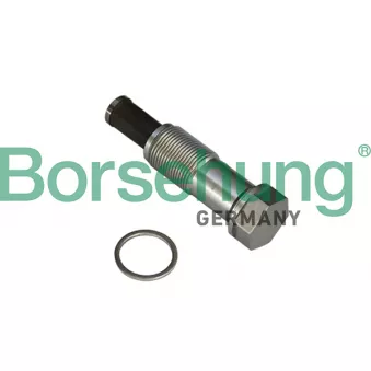 Tendeur, chaîne de distribution Borsehung B1T020