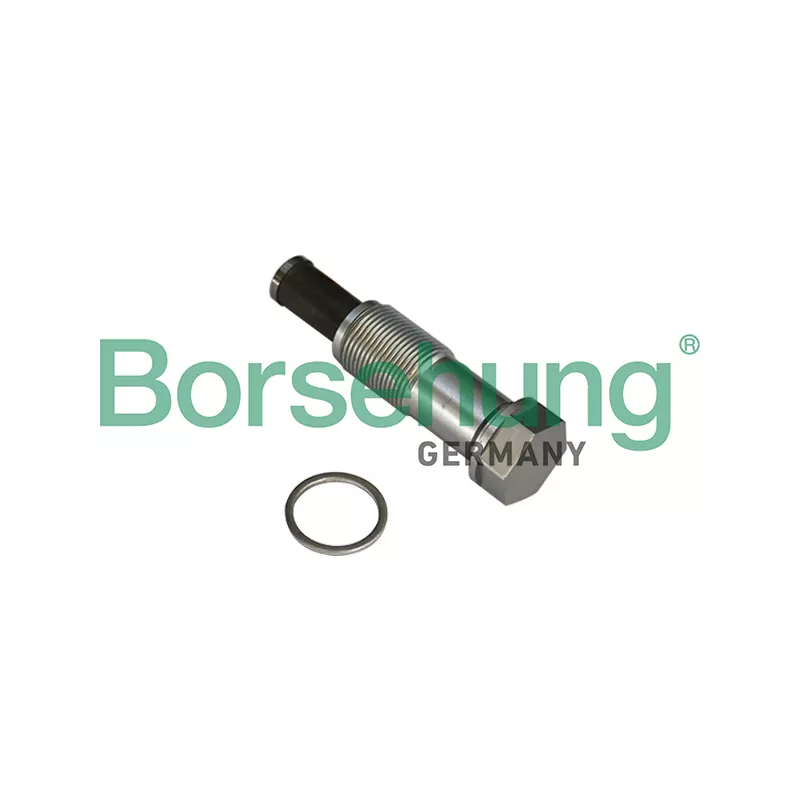 Tendeur, chaîne de distribution Borsehung B1T020
