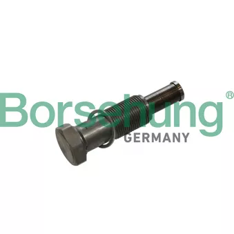 Tendeur, chaîne de distribution Borsehung B1T027