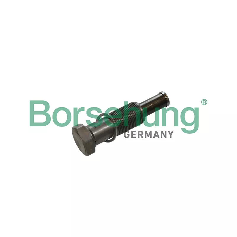 Tendeur, chaîne de distribution Borsehung B1T027