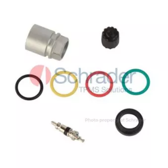 Kit de réparation, palpeur des roues (controle pression pneus) SCHRADER 5001