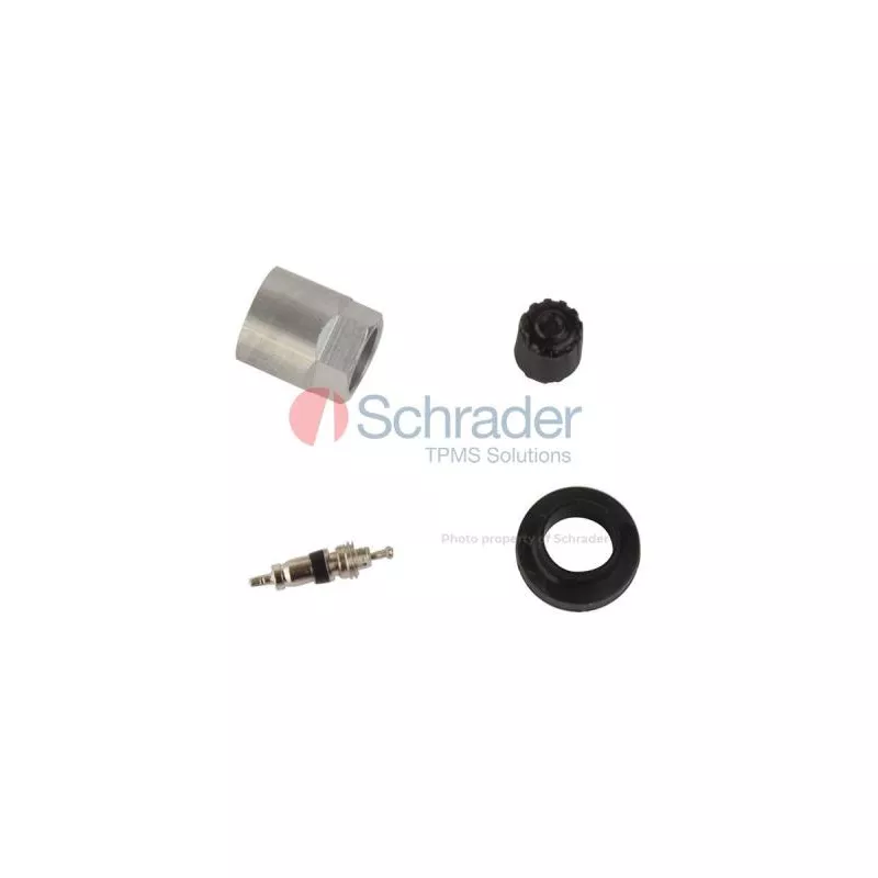 Kit de réparation, palpeur des roues (controle pression pneus) SCHRADER 5003